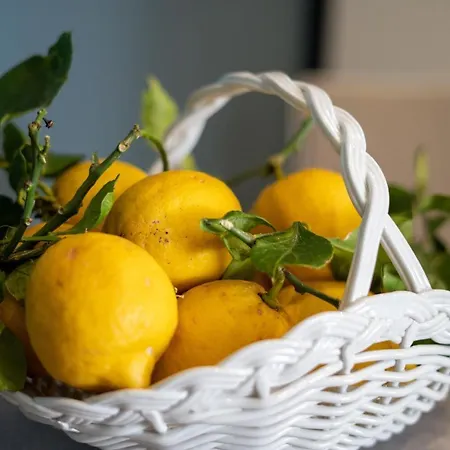 Alma Nocleg ze śniadaniem Półwysep Sorrentyński