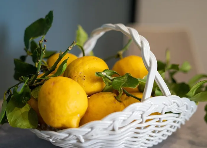 Alma Alojamento de Acomodação e Pequeno-almoço Sorrento