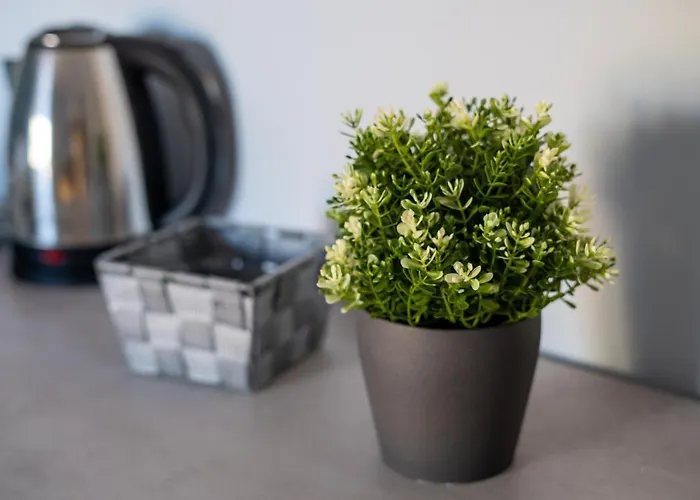 Alojamento de Acomodação e Pequeno-almoço Alma Sorrento