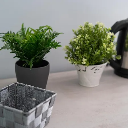 Alma Bed & Breakfast Sorrento