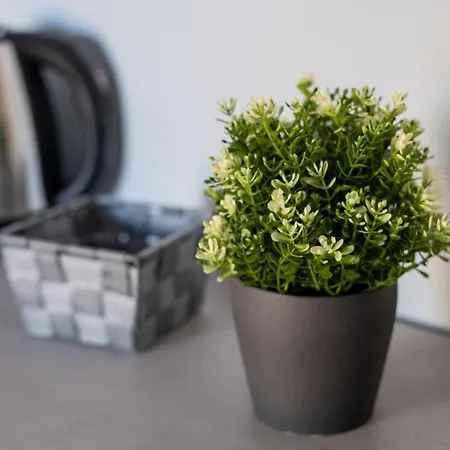 Bed & Breakfast Alma Sorrento